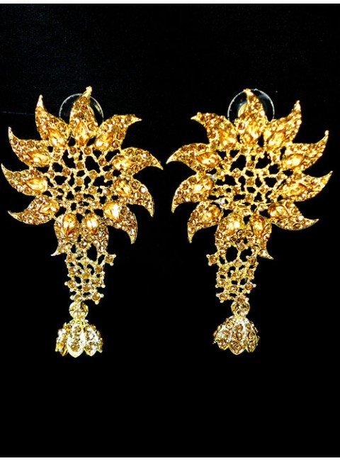 Fashion Earrings